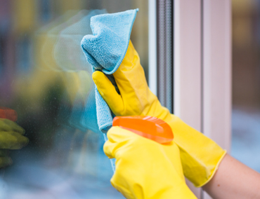 Window Cleaning Services